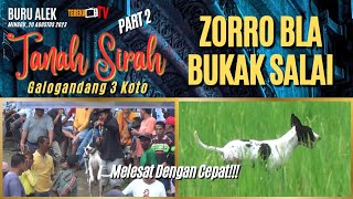 Download lagu Part 2 Buru Alek Tanah Sirah Galondang 3 Koto: Zorro BLA Bukak Salai Melesat Dengan Cepat!!! mp3