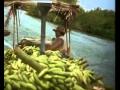 Bud Spencer Banana Joe Titelsong