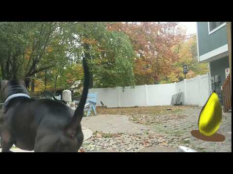 CART212-Checkpoint 4 Live Ball Bounce