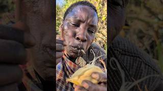 That's Chief Oldman Eating Natural Root's😋 See Meal of hadzabe hunt's#bushmen #culture #africa
