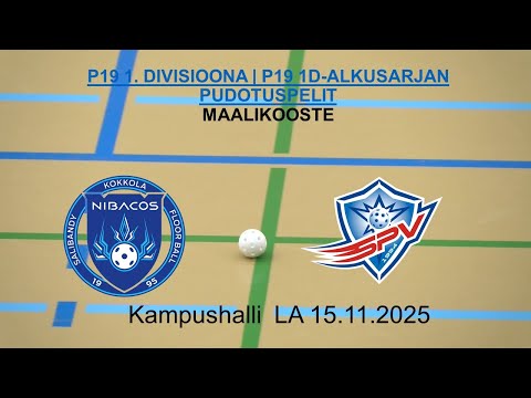 Maalikooste P19 Nibacos - SPV 15.11.2025