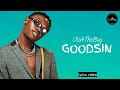 OliveTheBoy - GOODSIN (Lyrics video)