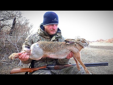 Охота на зайца. ЗАЙЦА МНОГО, КАК ВСЕГДА. Закрытие сезона охоты 2019. ИЖ-43