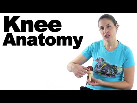 Meet My Wellden International Skeleton Ask Doctor Jo