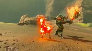 【実況】方向音痴が駆ける！【ゼルダの伝説ブレスオブザワイルド】＃29