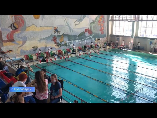 Чемпионы в ластах