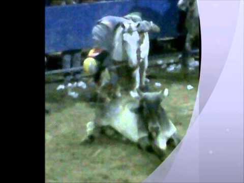 llanero vuelve a tu llano..