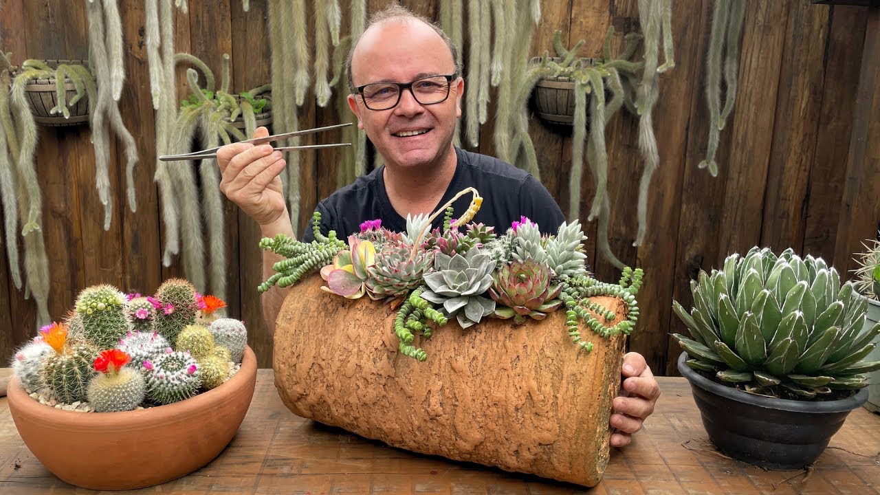 Arranjo de Suculentas Perfeito: Truques e Dicas Essenciais