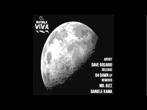 Dave Rosario - B4 Dawn (Mr.  Bizz Remix)