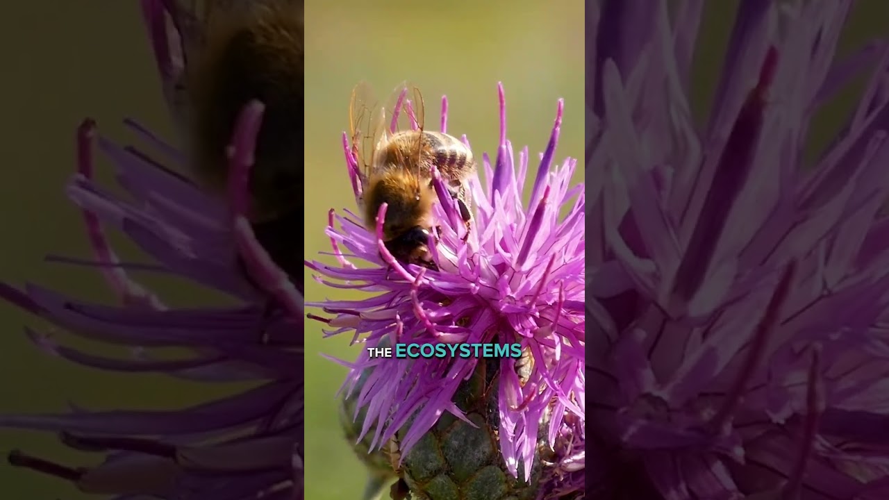 This World Bee Day, help stop plastic pollution before more life disappears.  🐝  🐝   🐝
