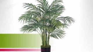 3 foot Areca Palm Tree: Potted - artificialplantsandtrees.com