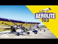 The Affordable Simplicity of the Aerolite 103