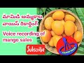 Voice Recording Of Mango SalesTelugu Voice