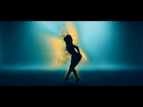 WhyBaby? - PAYPASS (DEXTASY Remix) (Club Remix)