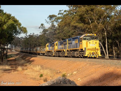 Triple XR Classes on Pacific National's 9158 Charlton Grain at Llanelly- 19/12/21