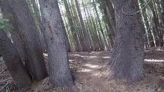 Download Lagu Hiking into Summit City Canyon, Mokelumne Wilderness, Alpine County, California. Thumbnail