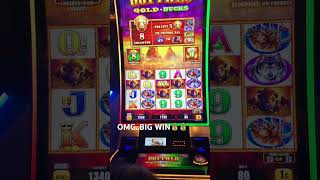 OMG..JACKPOT!! Big Win at Buffalo Gold shorts slots casino foryoupage foryou vegasslots Video