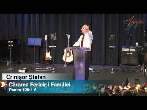 Crinisor Stefan - Cararea fericirii familiei