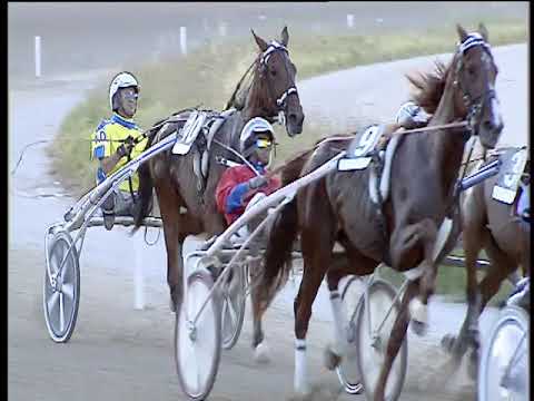 Trotto 20/06/2019 - 8ª corsa