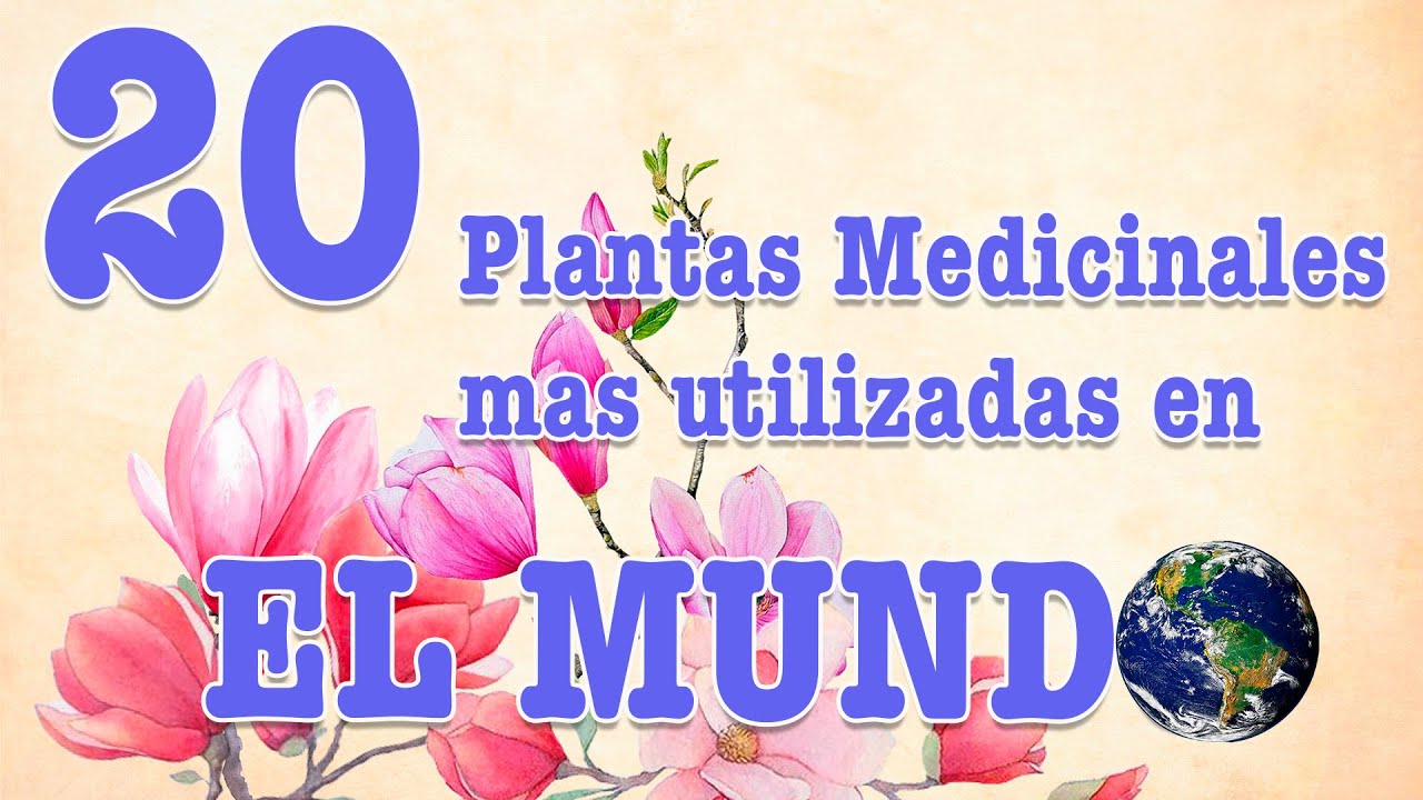 20 most used medicinal plants in the world