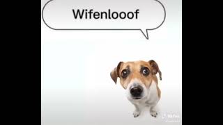 Cover art for Wenamechainsama