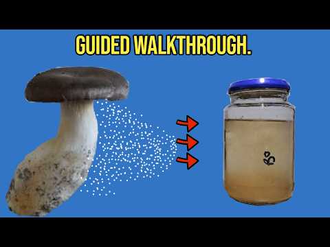 Turning Spores Into Liquid Culture (Still Air Box).