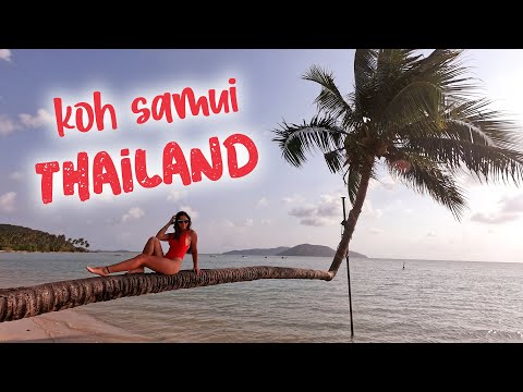 Am pus cortul pe o plajă pustie | Thailanda ep. 3 - Aventuri din Koh Samui
