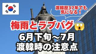 梅雨とラブバグに注意⚠️6月末〜7月渡韓時の注意点&雨の日におすすめの場所