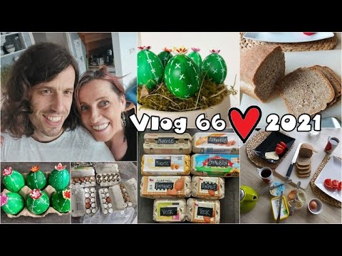 Vlog 66/21 - kaktusový