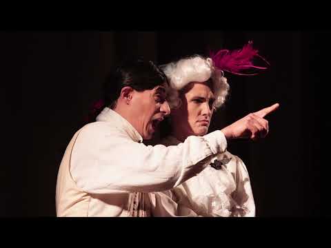 W. A. Mozart "Le Nozze di Figaro" (Act 1) Non piu andrai (Palcu)