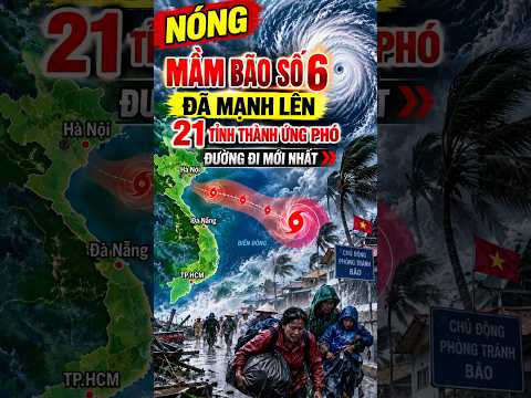MẦM BÃO SỐ 6 ĐÃ MẠNH LÊN – 21 TỈNH THÀNH ỨNG PHÓ, ĐƯỜNG ĐI MỚI NHẤT ĐANG THAY ĐỔI!  #thoitiet