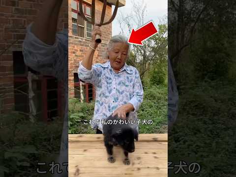 おばあさんの子犬のための木の櫛の贈り物