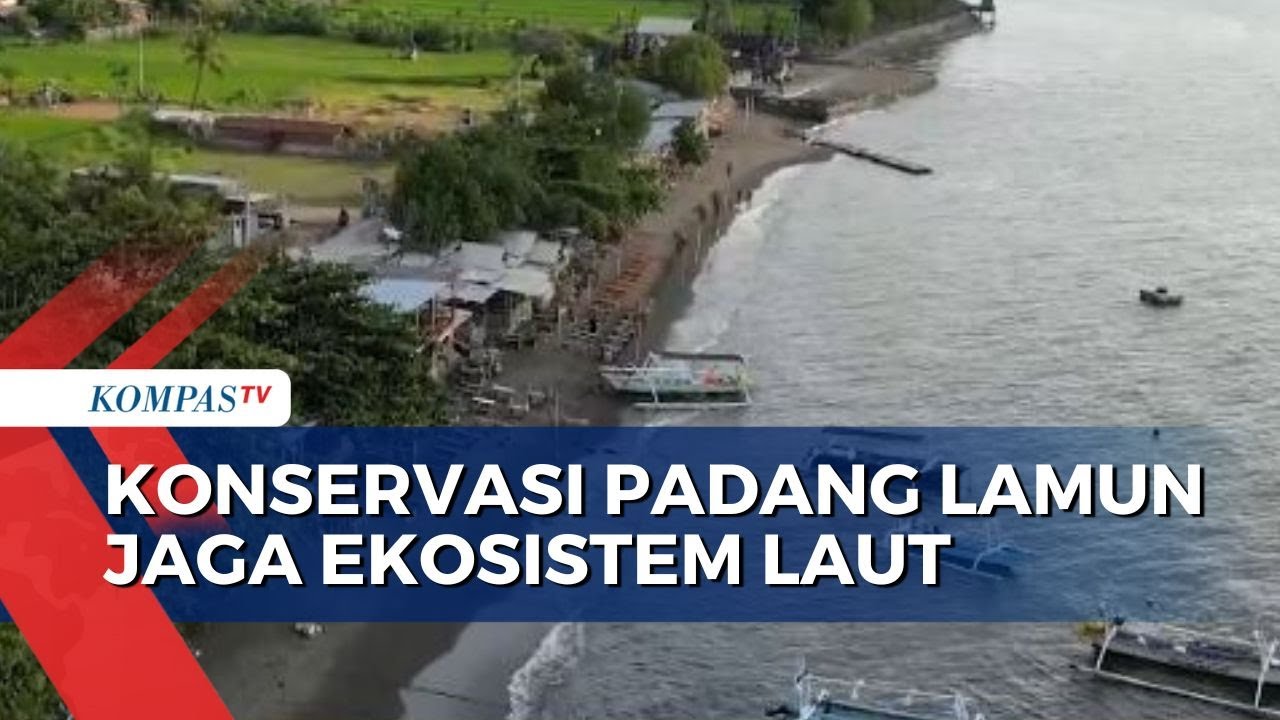 Upaya Konservasi Ekosistem Padang Lamun di Pantai Penimbangan Buleleng Bali
