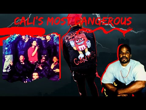 One of the MOST HATED, popular and dangerous gangs in LA| Who are the Crenshaw Mafia Gangster Bloods