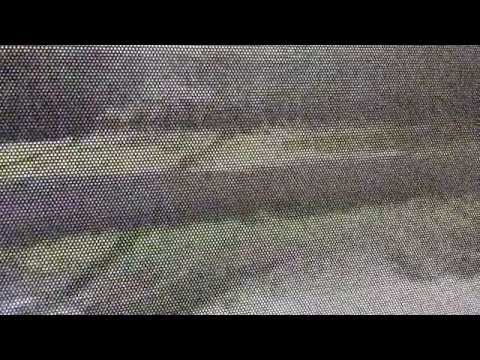 Transperth, TP1590, Mercedes Benz O405NH (Nice Voith)