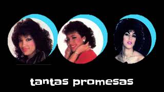 Son Mentiras Lyrics English Translation