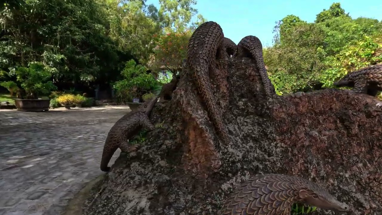 Discover a sneak - peek of Suoi Tranh Waterfall.