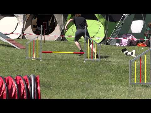 Steffi mit Quick A2 26-5-12