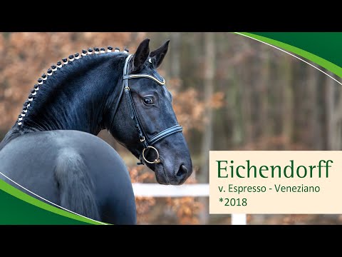 EICHENDORFF v. Espresso - Veneziano