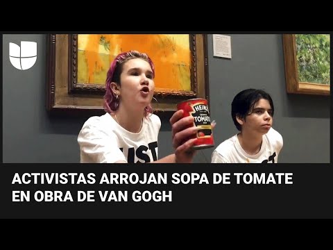 Environmental activists attack Vincent van Gogh's painting 'Sunflowers'