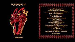 Busta Rhymes - The Return Of The Dragon (Full Mixtape) [HD]