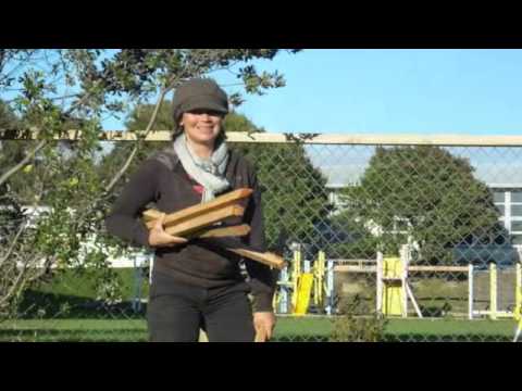 St Martin's Community Grove