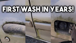 Extreme Mold And Algae Removal | Satisfying Real Time Car Detailing | Car Wash ASMR