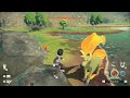 Rock Protects Me From Rapidash