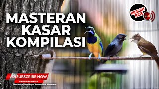 Download lagu 🔴Masteran KASAR Greja Mewah Srigunting Abu Abu vs Kapas Tembak Gacor vs Cucak Cungkok Gacor mp3 Download lagu 🔴Masteran KASAR Greja Mewah Srigunting Abu Abu vs Kapas Tembak Gacor vs Cucak Cungkok Gacor mp3