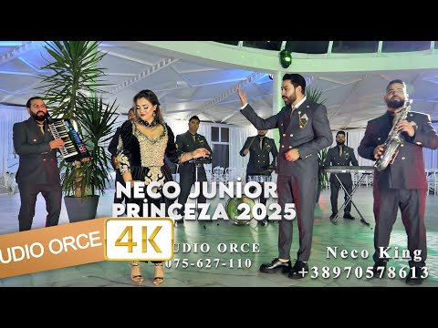 ☆ORK NECO KİNG-NECO JUNİOR PRİNCEZA  NEW HİTT 2025