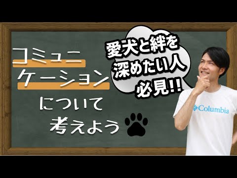 大阪 堺で充実したドッグライフを送るためにドッグトレーニングをしたいなら、20年以上の実績があるドックトレーニングスクール『いぬの学校あさか』にご相談を。