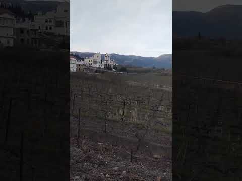 Волшебная Ялта в лучах заходящего солнца. #крым2024