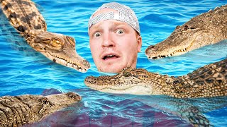 Would You Swim With Gators for $10,000?