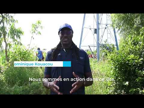 De l’agriculture d’urgence à une production alimentaire durable pour les personnes déplacées au Mali